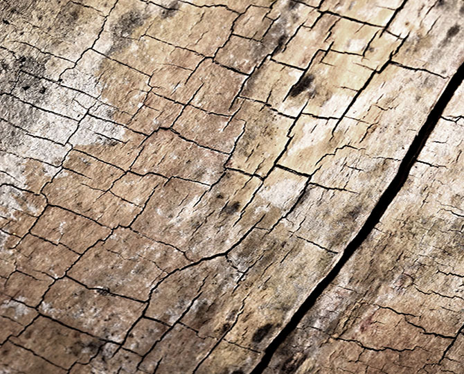 لاندس رمادي فاتح خاتم الطبيعية الملمس ( الخشب ) السجاد التجارية الطوب
