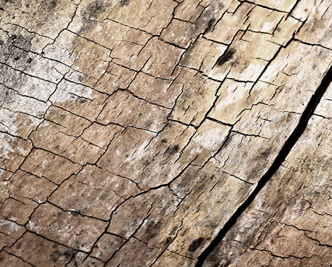 نسيج الطبيعية ( الخشب ) بلاط السجاد التجارية