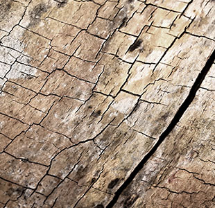 لاندس رمادي فاتح خاتم الطبيعية الملمس ( الخشب ) السجاد التجارية الطوب