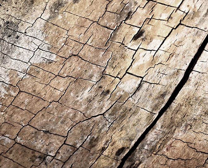 نسيج الطبيعية ( الخشب ) السجاد التجارية الطوب